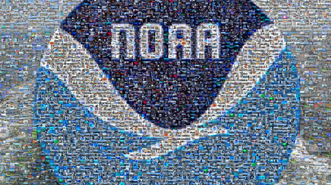 We are scientists, engineers, researchers, technicians, and more who remain united in our common mission: science, service, stewardship. 