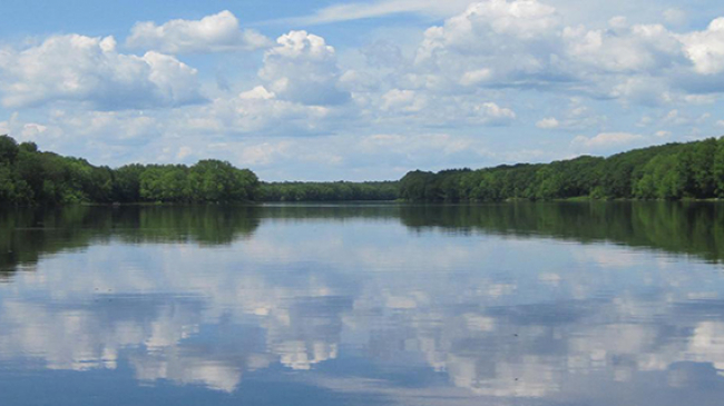Parts of the Penebscot River in Maine are designated as critical habitat for the Gulf of Maine distinct population segment of Atlantic sturgeon.