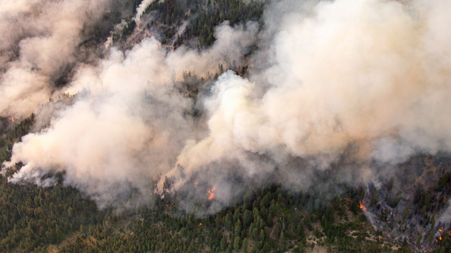 Pioneer Fire in Boise National Forest, Idaho, 2016.