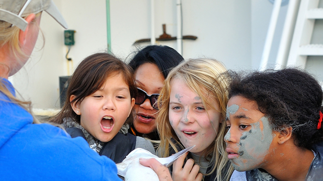 An adult holds up a small shark to three children and an adult whose expressions are a mix of awe, fascination, and curiosity. 