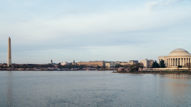 Springtime in Washington, D.C.