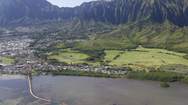 The He‘eia National Estuarine Research Reserve was the 29th in the NERR system. The He'eia wetlands will see a new natural constructed wetlands system to protect and enhance the ecosystem and community of Kane'ohe Bay, Hawaii. The project will minimize flood events, reduce sediment and nutrient run-off, and create habitat and fish passage for marine and estuarine species.