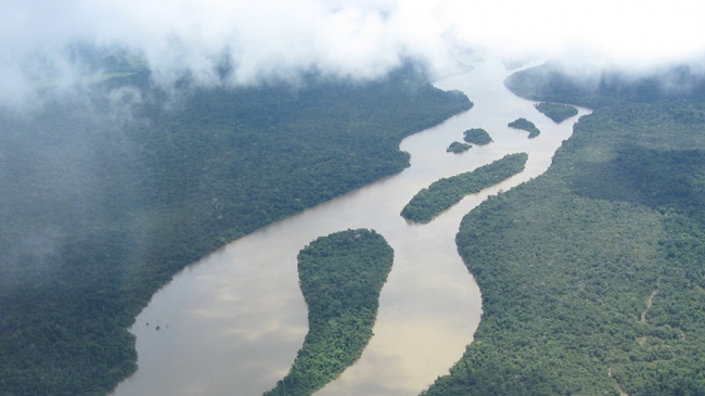 A discovery by a NOAA scientist has led to a new way of estimating how much carbon dioxide is taken up by plant communities, such as the Amazon rainforest.
