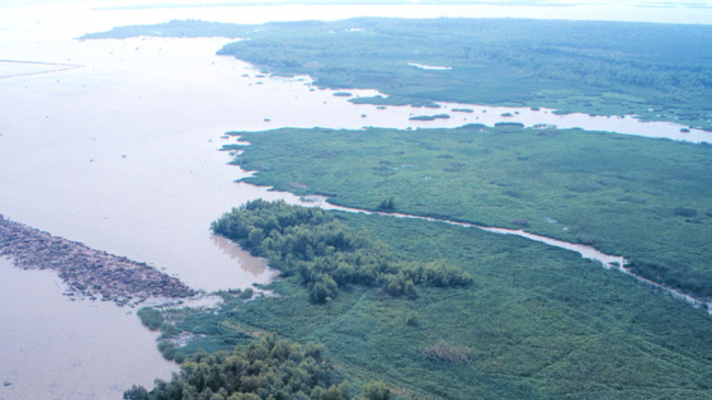 Atchafalaya Bay, Louisiana.