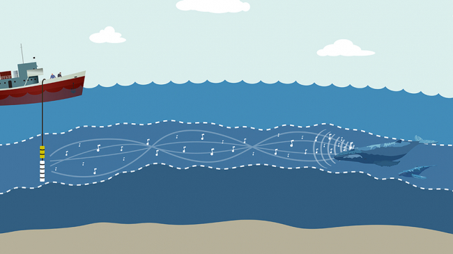 SOFAR (Sound Fixing and Ranging Channel) is a naturally-occurring ocean "channel" that allows sound to carry great distances. 