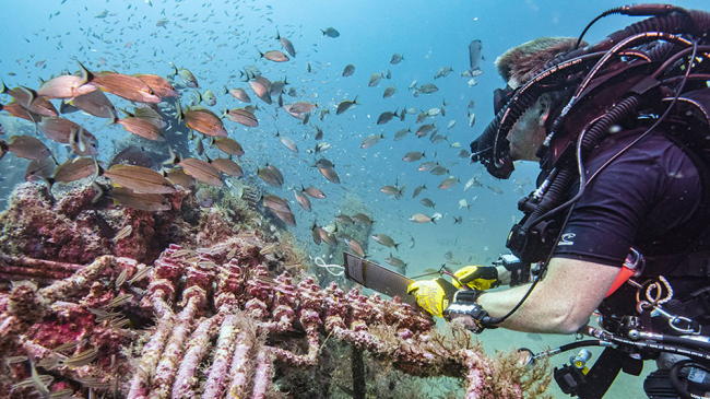 NOAA Restoration Center biologist Dave Witting conducts a fish count on the WWII-era submarine USS Tarpon. 