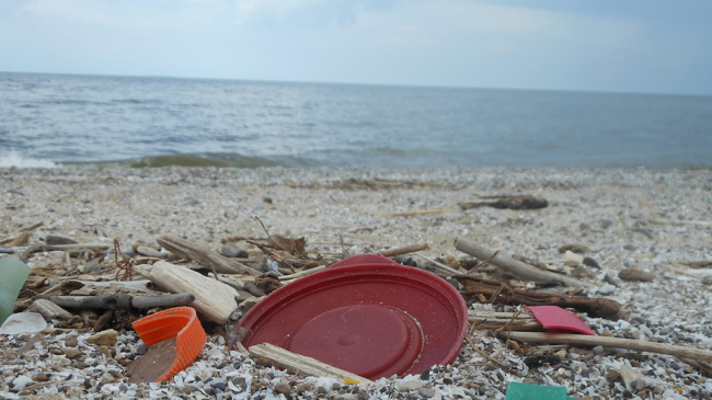 Litter on the beach.