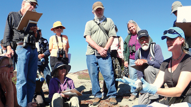 Beach Watch volunteers collect data on birds and marine mammals.