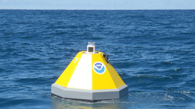 Buoy deployed outside Kaneohe Bay.