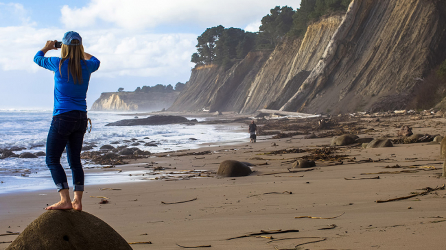 Bowling Ball Beach, Greater Farallones National Marine Sanctuary, California