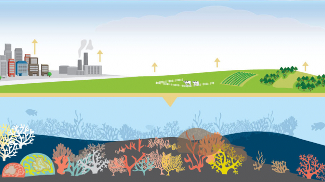 The varied effects of climate change are changing the ocean; these changes dramatically affect coral reef ecosystems.
