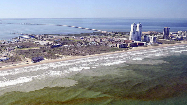 Harmful algal bloom.