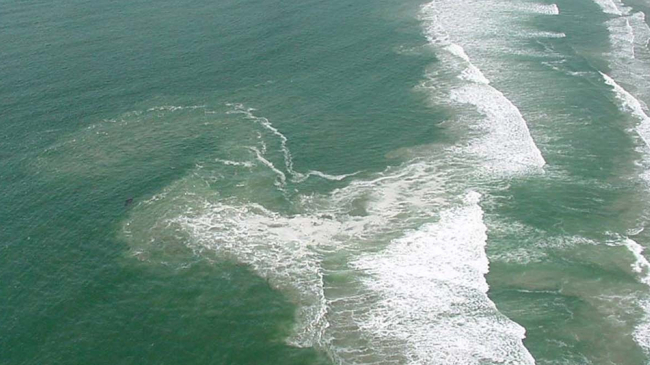 Caught in a rip current? Don't fight it!