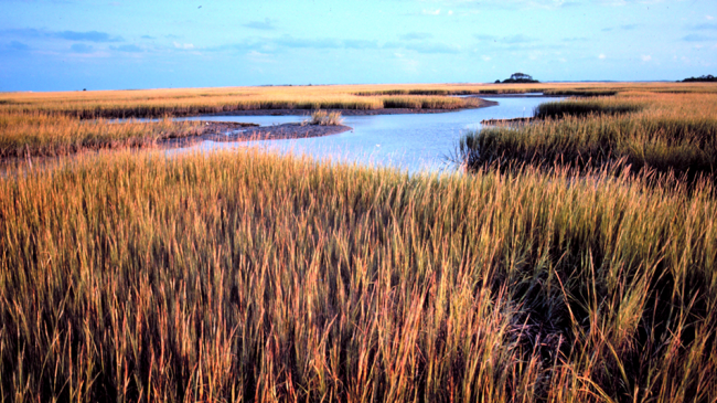 Winyah Bay National Estuarine Research Reserve.
