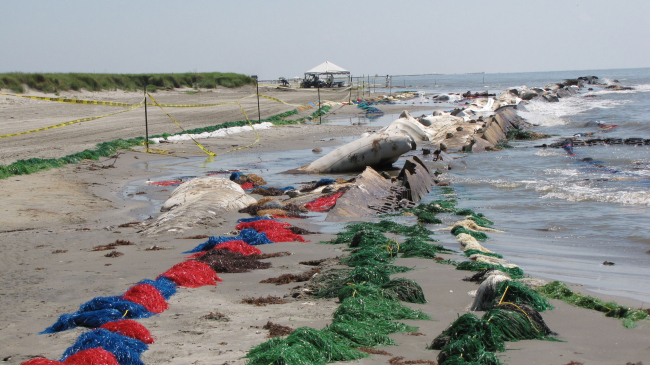 Pom-Pom Clean-Up: Following manual cleanup at Fourchon Beach, La., on May 27, 2010, booms made out of pom-poms are set to protect the sandy beach area. Plastic pom-poms are effective and low-cost tools that attract and hold oil.