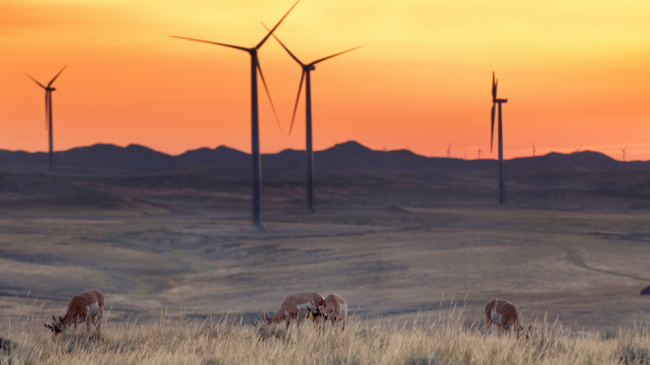 A new weather-driven NOAA model suggests wind and solar power could become a dominant source of electricity. 