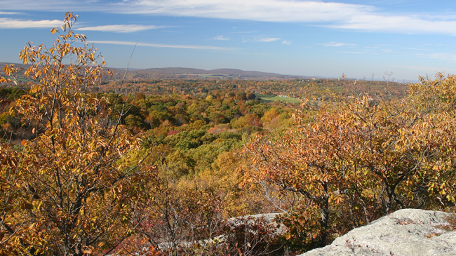 New research shows that mature forests like this patchwork of state and private land in central Connecticut can help minimize the occurrence of severe drought and heat waves. 