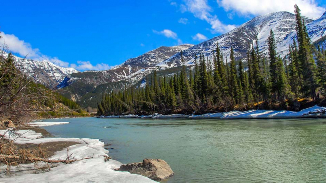 Springtime in Kenai, Alaska.