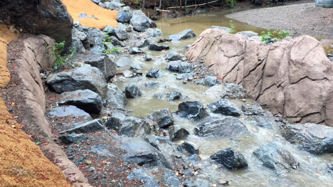 The first water flows through an engineered fish passage around a Mill Creek dam that has been blocking salmon migration through the California watershed for decades.