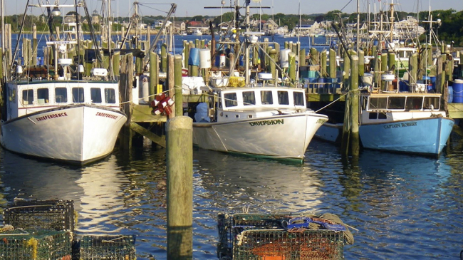 Fishing vessels docked in Point Judith.