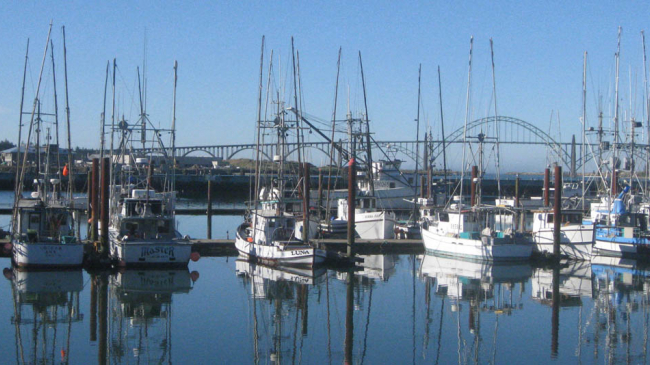 Fishing boats docked in Newport, Oregon.