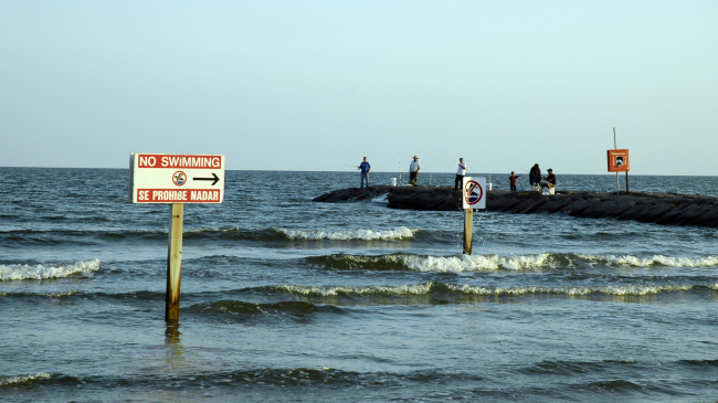 No swimming signs around stone groins, Galveston, Texas. Courtesy of Spencer Rogers, North Carolina Sea Grant. 
