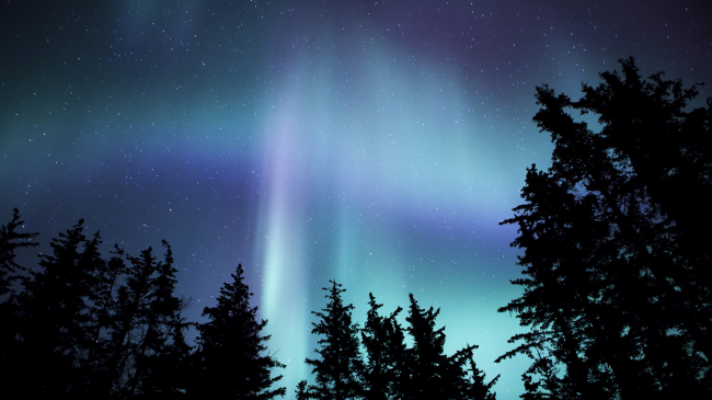 Nighttime view of the northern lights in Alaska. 