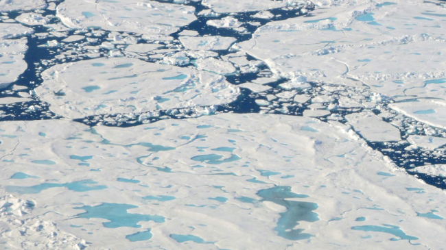 Sea ice floes north of Greenland on July 24, 2017.