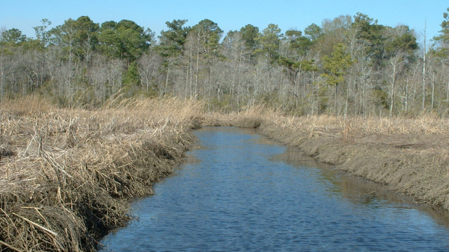 Photo of the affected site in Navassa, NC. Credit: Sara Ward, USFWS. Source = http://www.fws.gov/news/ShowNews.cfm?ID=FEE980F4-5056-AF00-5BE6708DEF414DED