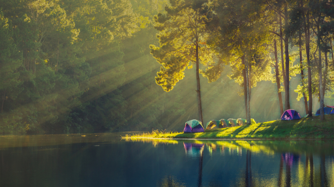 If you're going camping this weekend, be sure to check your local forecast at www.weather.gov. 