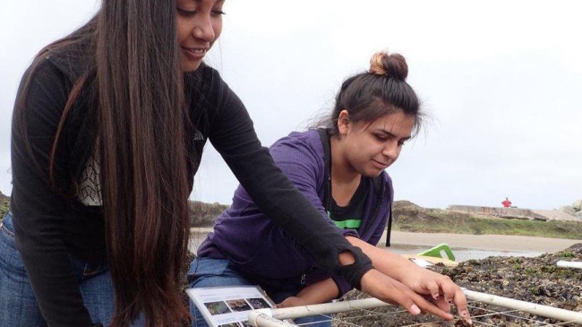 Two students conduct researching using a quadrat in a marshy area.