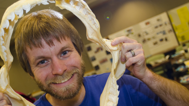 A NOAA Teacher at Sea alum with shark jaws.