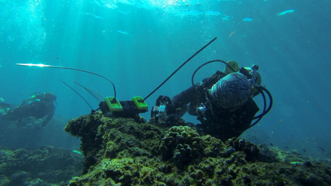 NOAA scientist Jeannette Clark checks the serial number on a device that records underwater temperatures. Researchers deployed hundreds of these devices at coral reefs across the Pacific Ocean from 2001 through 2017 to learn how warming ocean temperatures may affect deep-water coral reefs. 