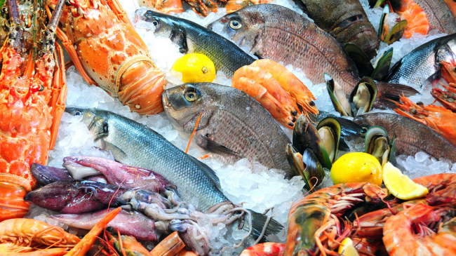 Seafood on a bed of ice.