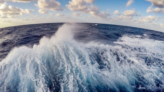 A fish-eye view of the wake of a ship out at sea. Here's an ocean fact: The surface layer of the ocean is teeming with photosynthetic plankton. Though they're invisible to the naked eye, they produce more oxygen than the largest redwood trees.