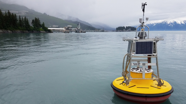 Buoy off Jackson Point in Port Valdez, Alaska, with the Alyeska Pipeline Service Company Valdez Marine Terminal in the background. 