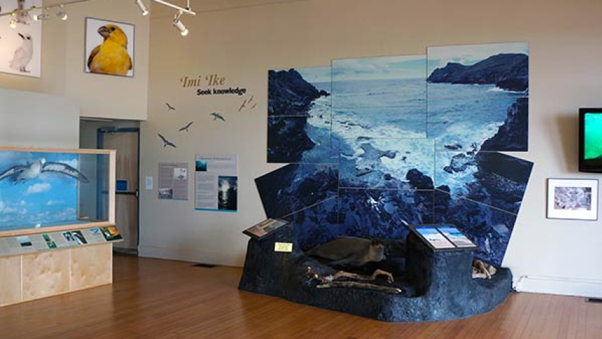 Mokupāpapa Discovery Center exhibit floor.
