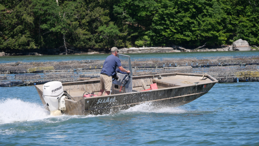 A person on a small boat motors away towards their oyster farm.