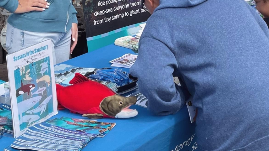 Caroline talks to a few people from behind an exhibit table. The table has materials including pamphlets, a plush salmon, and outreach swag typically found at conference exhibits.