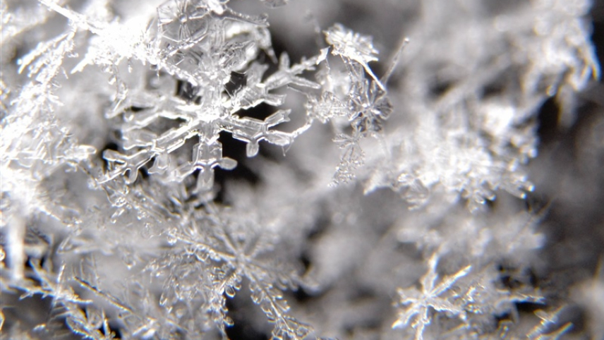 A zoomed in close-up of a cluster of snow crystals. The crystals are each unique and look perfectly formed except where smaller fragments have loosely connected the flakes together.