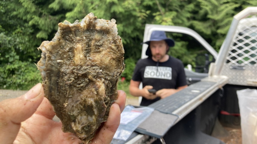 A close up of a hand holding an oyster close to the size of the person's hand. In the background, a person watches Nick take the photo.