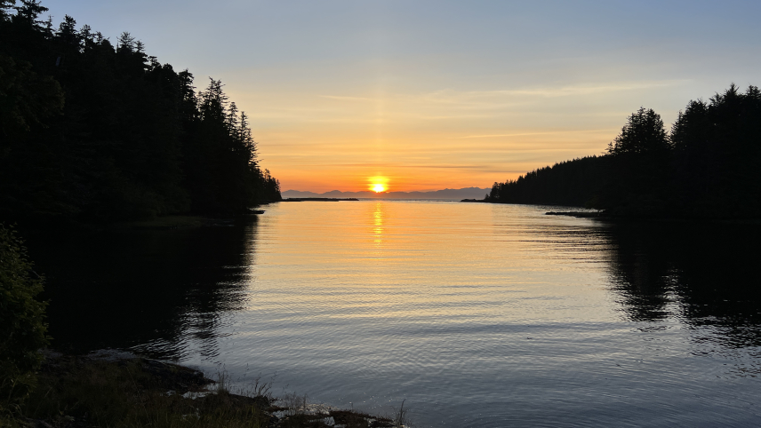 A sunrise over water, with silhouetted trees on either side of the inlet.