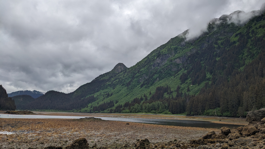 An overcast day on Jakalof Bay. Rocky terrain in the foreground gives way to an area where water has receded from much of the bay, revealing muddy sediment thick with seaweed. There is an elongated pool of water between this part of the bay and a mountainous area on the other side. Low clouds mask the top of the mountains.