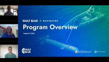 Gulf webinar screenshot