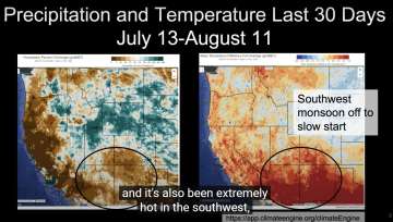 august west watch thumbnail