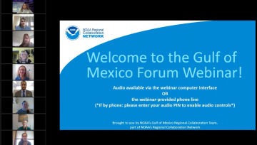 Gulf webinar screenshot