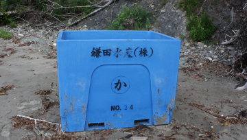 Plastic box used to store seafood found near Goodman Creek, Washington.
