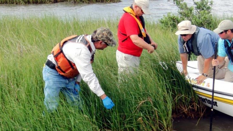 Standing on an oiled marsh island, BP consultants Bob Nalon (left) and Charlie Johnson discuss field observations with NOAA's Natural Resources Damage Assessment team lead Rich Takacs (on boat, left). Chris Grant (on boat, right), a consultant representing the State of Louisiana, uses a pole to check for oil in the marsh island's sediment.