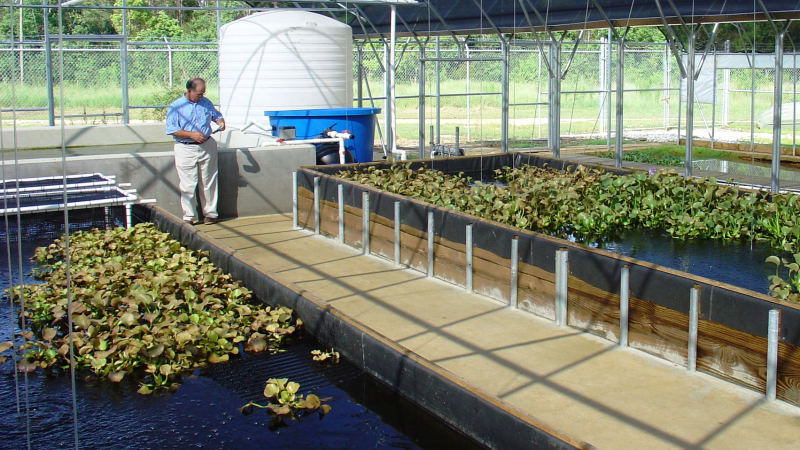 Aquaculture facility in Gulf Port, Mississippi.