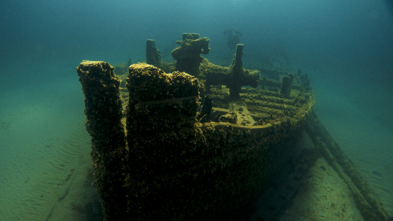 Within Thunder Bay National Marine Sanctuary lie the remains of nearly 100 shipwrecks that represent a microcosm of maritime commerce and travel on the Great Lakes. The D.M. Wilson, a wooden bulk freighter, sank in 1894 after springing a leak. Most of the Wilson's hull remains intact today in the sanctuary, including a large windlass that rests on the bow. 